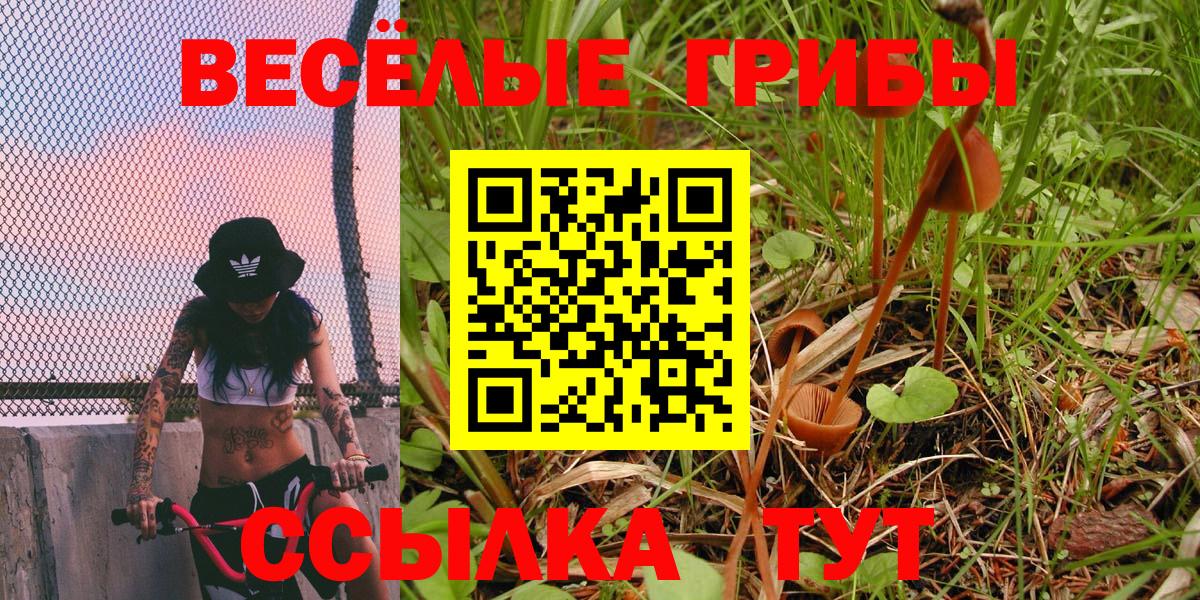 Псилоцибиновые грибы мицелий Стрежевой