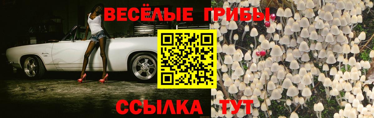 Стрежевой  магазин    Вход с VPN  Галлюциногенные грибы Magic Shrooms  Псилоцибиновые грибы Psilocybe 